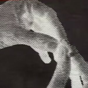 Meet your Posher, Martin